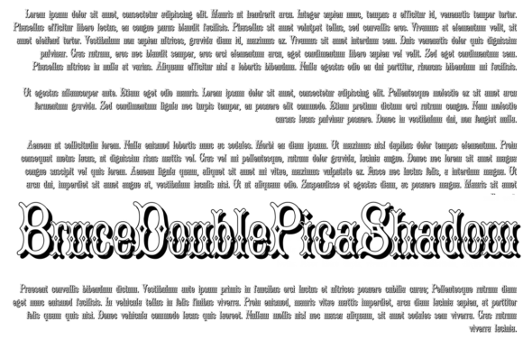 Bruce Double Pica: A Display Font That Makes Your Brand Feel Timelessly Real